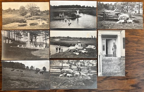 Sibley family farm photographs - sibley,