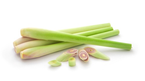 Fresh lemongrass stalks - stalks, –