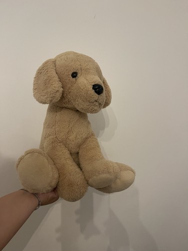 Loveable cuddly golden - loveable,