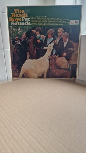 Vinyl the beach boys album - vinyl,
