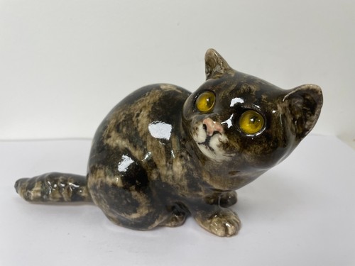 Winstanley tabby cat - tabby, with