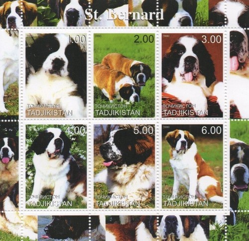 Bernard dog canine animal - bernard,
