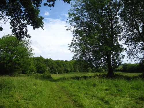 Photo footpath from - photo,