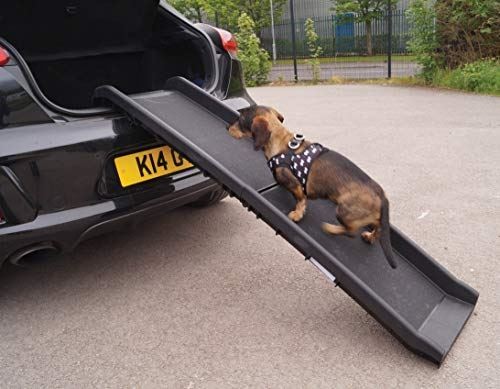 Helens foldable dog ramp - st,