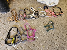 Job Lot Horse Head Collars Full Cob Pony HY Bitz Derby House