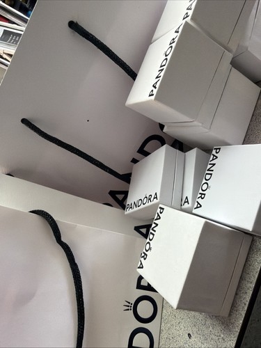 Empty pandora small gift bags - empty,