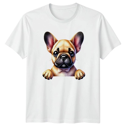 Cute french bulldog - french, puppy