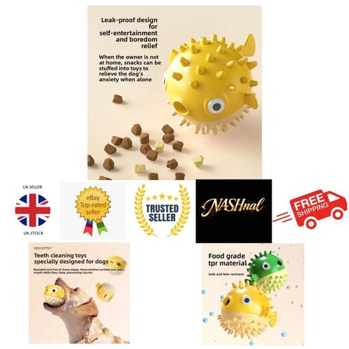 Interactive pet toy bouncing - interactive,