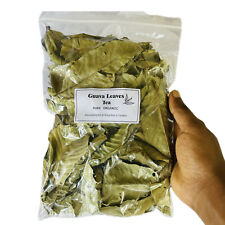 premium Dried Guava Leaves