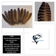 10 or 20 Pheasant Wing