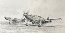 The Tuskegee Airmen by Richard
