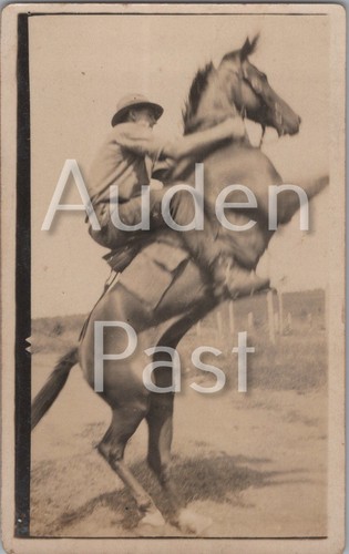 Military horse and - military,