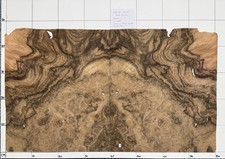 English Walnut Burr Real Wood