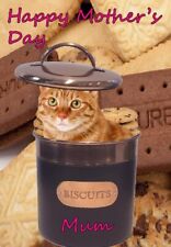 bt46 Ginger Cat   hiding in a biscuit tin  Mothers Day Greeting Card Mum