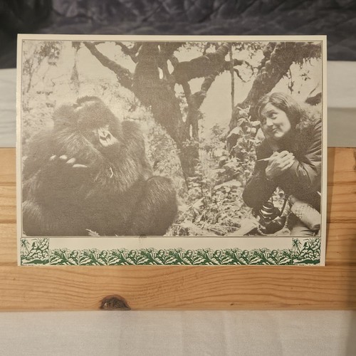 Vintage postcard dian - vintage,