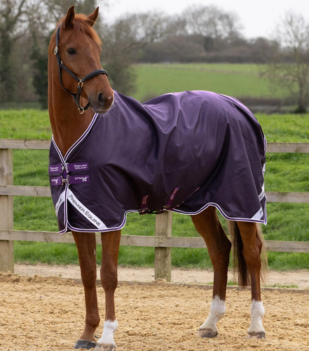 Premier equine stratus - equine, 600d