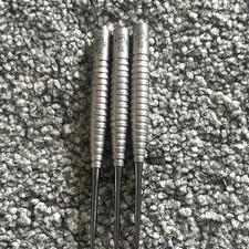 Darryl Fitton 24g Target Darts