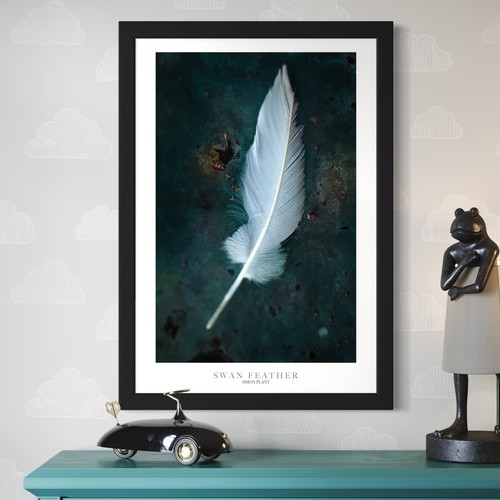 Posters photography white - posters, bird