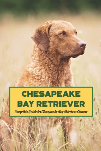 Mollie chesapeake bay - mollie,