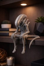 Contemplative Alien Shelf