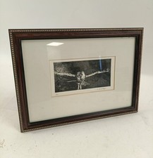 Framed Limited Edition Owl In Flight Print Signed 3/10 Framed & Glazed 13"x9.5"