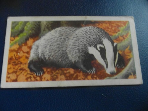 Brooke bond british wildlife - brooke, wildlife"