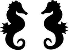 S-Huge Seahorse Vinyl Decal
