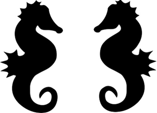 M19 huge seahorse - seahorse, vinyl