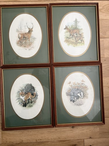 Vintage wildlife framed - wildlife,
