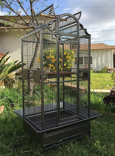 Large elegant bird - 64", parrot