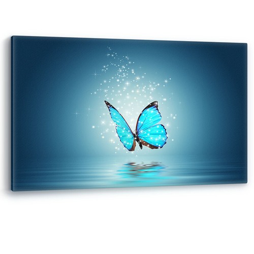 Blue butterfly over - butterfly, water