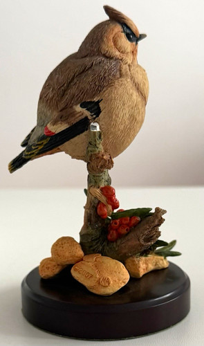 Country artists waxwing garden - country,