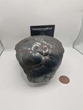 LARGE Kidney Ore Hematite West Cumbria Botryoidal Iron Ore 