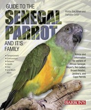 Guide to the Senegal Parrot