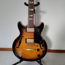 Rare Jay Turser Semi-Acoustic