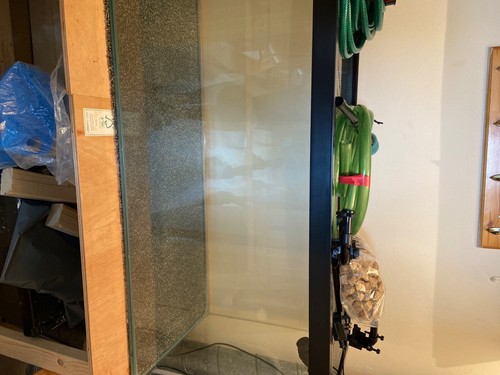 Months old 4ft - old, fish