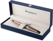 Waterman Expert Fountain Pen