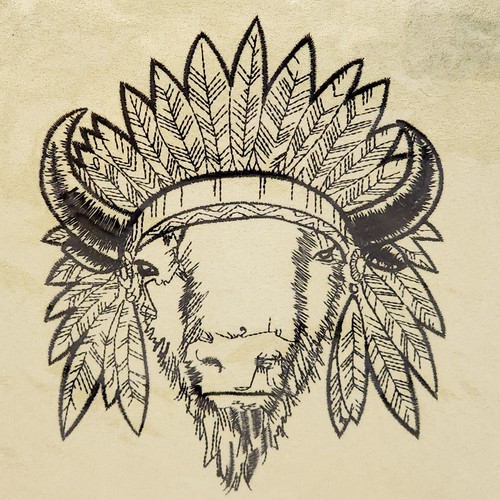 New boho buffalo - buffalo, bison