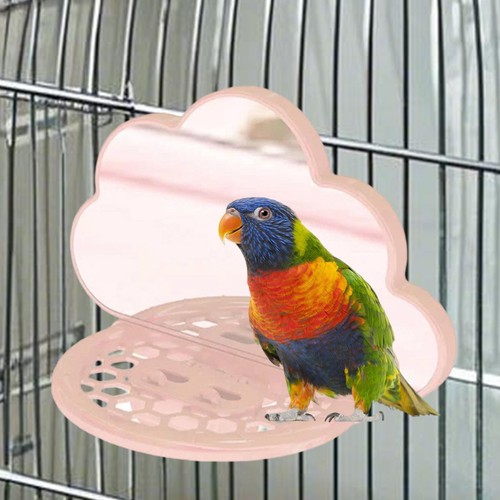 Parrot bird mirror - bird,