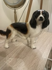 Tri colour cavalier - tri-colour, king