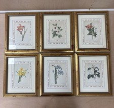 X 6 Framed Prints - LES BELLES FLEURS DE Pierre-Joseph Redoute