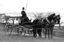 whh-33 Horse-Drawn Hearse