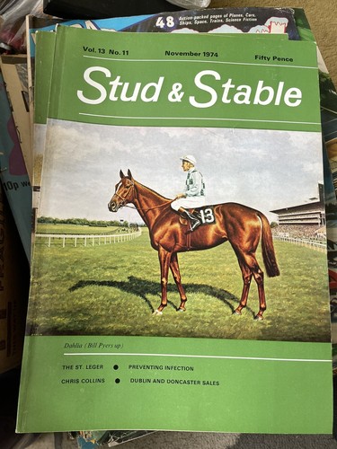 Stud and stable - stud,