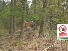 Photo 12x8 Forestry machinery