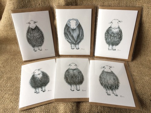 Mixed herdwick sheep cards - sheep,