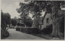 Sussex Postcard - Hellingly Village, Wealden District   RS41012