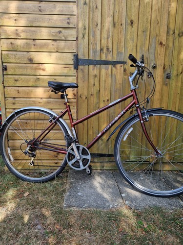 Ridgeback adventure hybrid - ,