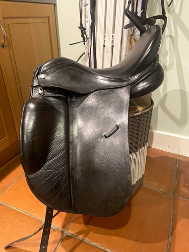 Albion platinum black - platinum, leather