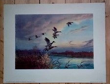 Vintage Art Print By J. C