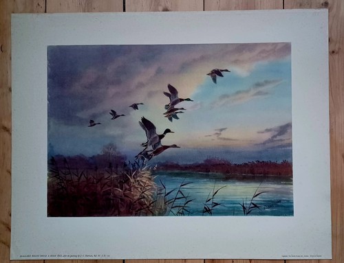 Vintage art print - vintage,